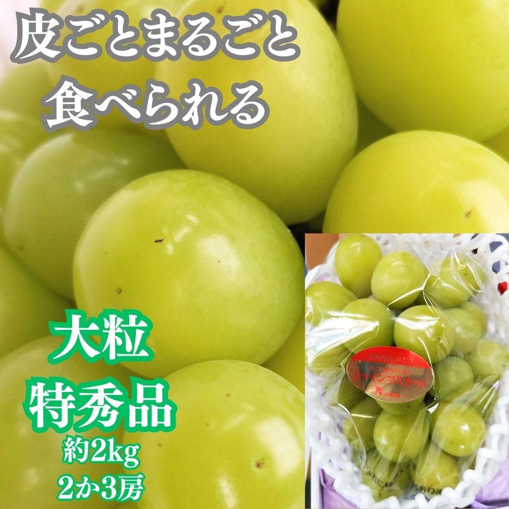 ãå®æäŸ¿ã4åã³ãŒã¹ãåå£ã®çŸå³ããæç©è©°ã