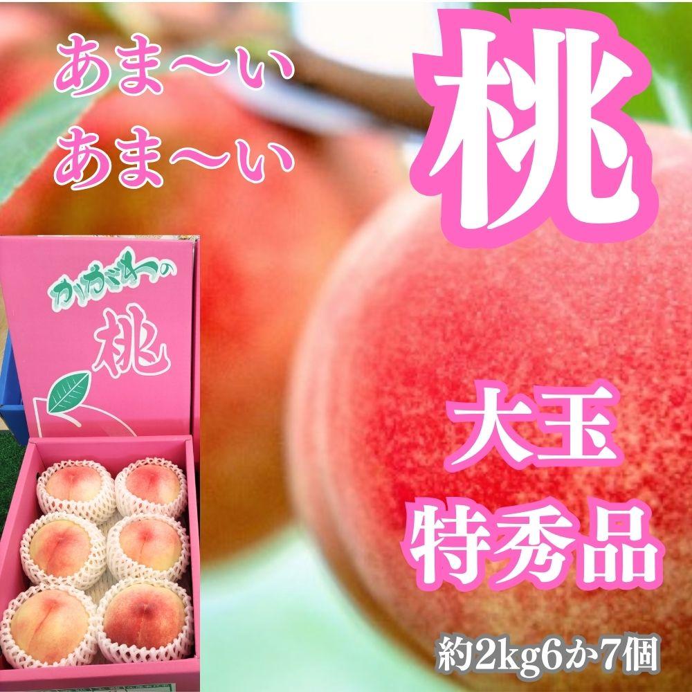 ãå®æäŸ¿ã4åã³ãŒã¹ãåå£ã®çŸå³ããæç©è©°ã