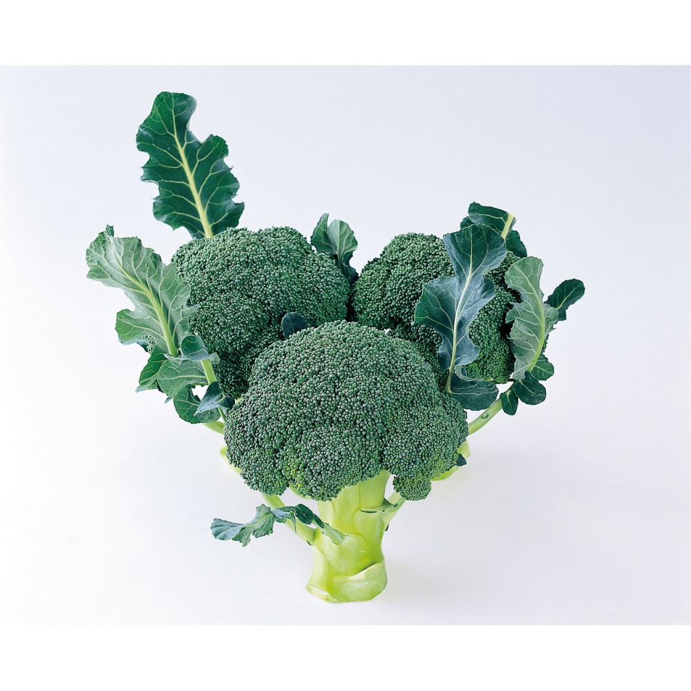 ブロッコリー　約2.5kg×2