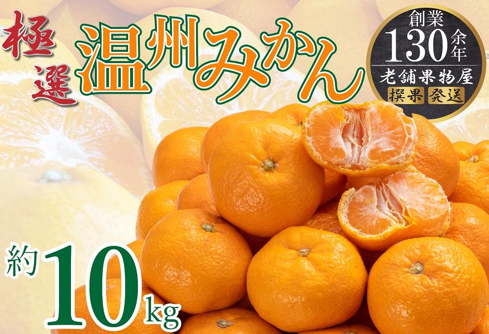 極撰！温州みかん　約10kg |みかん フルーツ 旬 美味しい みかん 新鮮 フルーツ みかん 詰合せ セット フルーツ 人気 フルーツ 厳選 おすすめ フルーツ