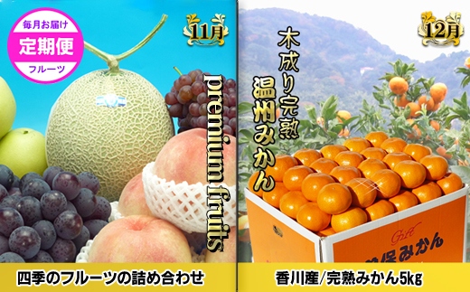 ããŽãŒã«ãã³ãŒã¹Bãç£çŽãããã©å³éžãã«ãŒãïŒé
æã®12å䟿