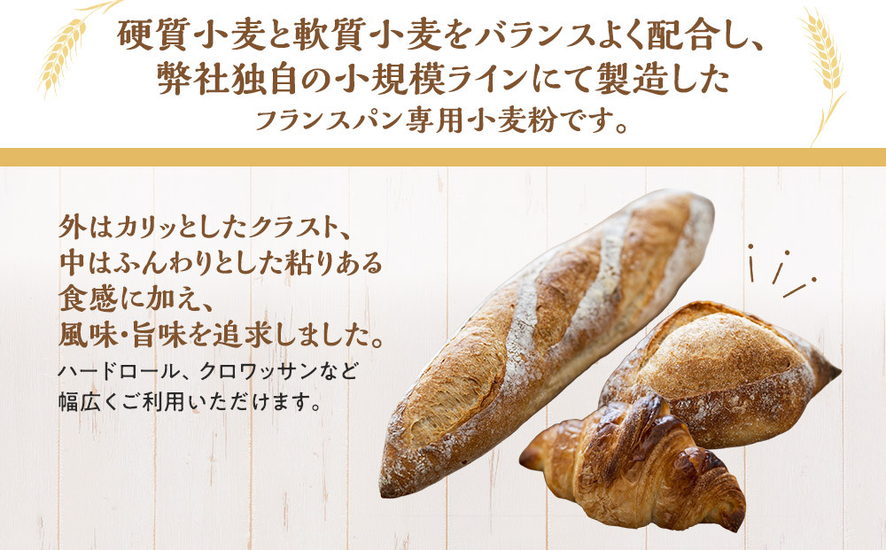 フランスパン専用小麦粉「レピ・ドール」5kg