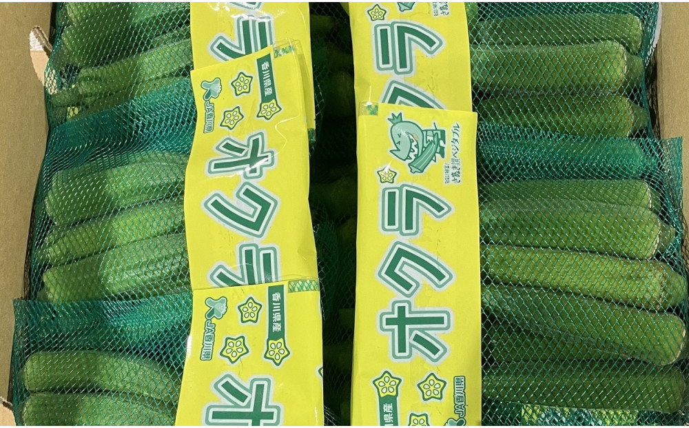 ãªã¯ã©ãçŽ2.8kg