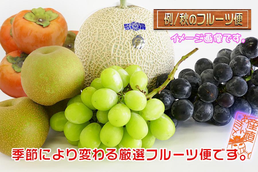 ïŒç£çŽãããã©ïŒå³éžãã«ãŒãã®è©°ãåãã