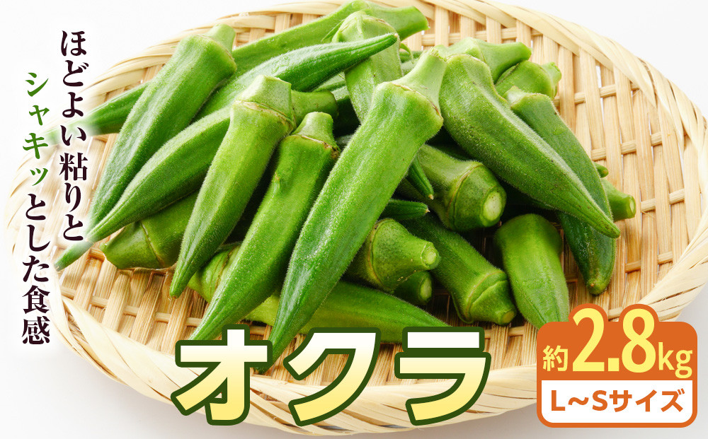 オクラ　約2.8kg