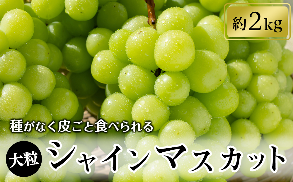 シャインマスカット約2kg（2～5房入り）