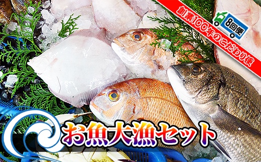 【定期便8回】創業100年の魚屋さんが選び抜いた旨い鮮魚直送便～