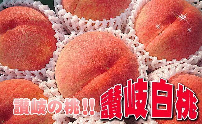 ïŒæ»Žãææ±ãšããµããæèãèªæ
¢ã®ããïŒäžçã®æ¡2kgã»ãããå
è¡äºçŽã»2026幎6æäžæ¬ããé æ¬¡çºéãç§åïŒçŽ7ïœ10åå
¥ãïŒ