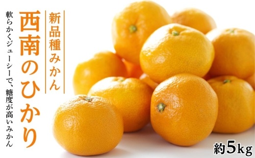新品種みかん「西南のひかり」約5kg（約40～60個）