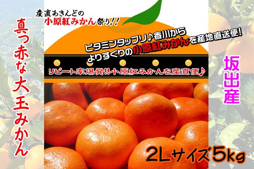 âªå
è¡å泚â«å°åçŽ
æ©çã¿ãã éŠå·çç£ çŽ5kg ( 2Lãµã€ãº ) ïœ ã¿ãã