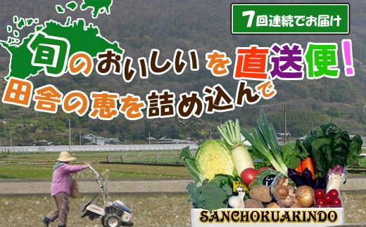 〈定期便7回〉創業100年！老舗の八百屋がチョイスした厳選やさいと旬の果物の詰め合わせ