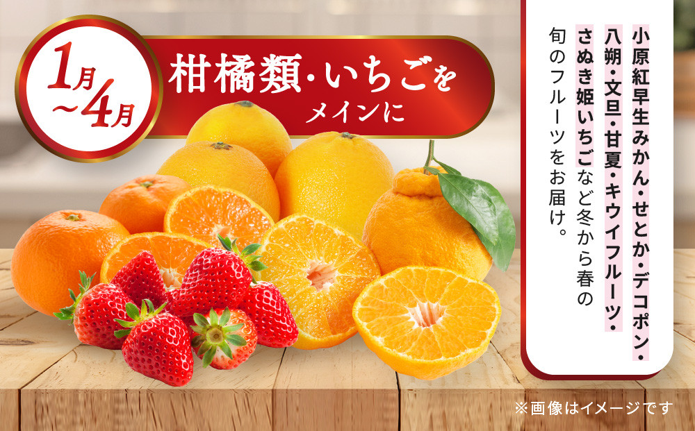 【定期便10回Sサイズ】 フルーツ セット 定期便 ( 約3 ～ 5品 × 10ヶ月 ) ｜産直あきんど 香川産 四季のフルーツ 創業100年