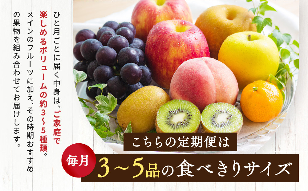 【定期便10回Sサイズ】 フルーツ セット 定期便 ( 約3 ～ 5品 × 10ヶ月 ) ｜産直あきんど 香川産 四季のフルーツ 創業100年