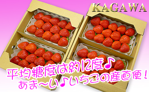 香川県オリジナル品種！さぬき姫いちご6パック