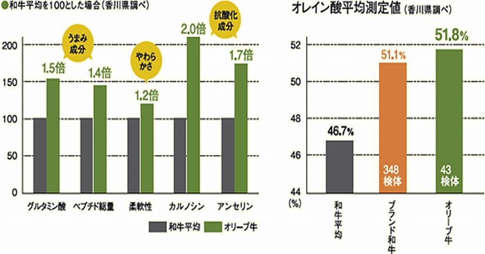 オリーブ牛　焼肉二種食べ比べセットA　1000g