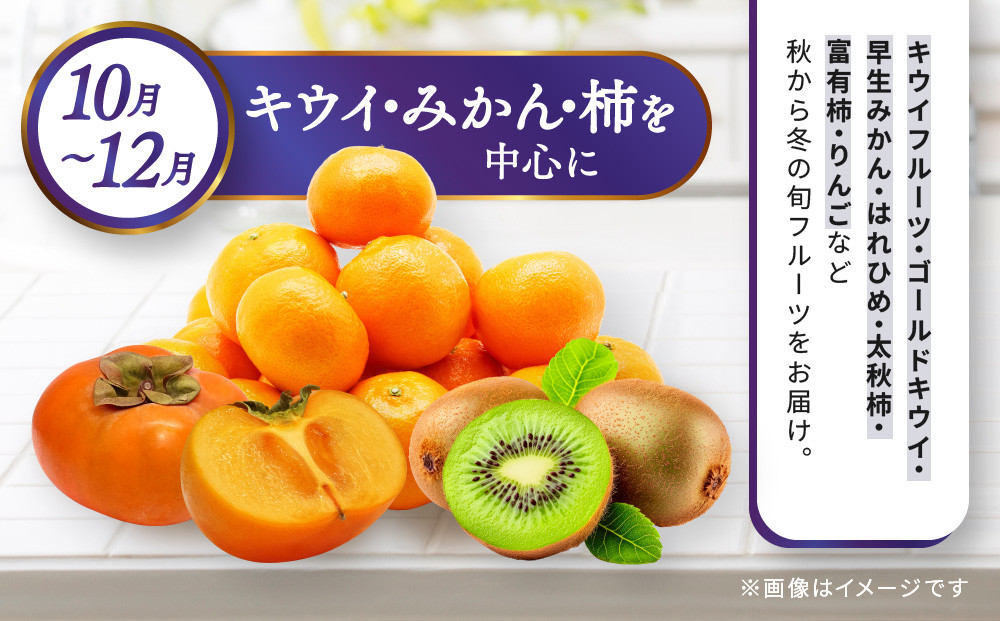 【定期便10回Sサイズ】 フルーツ セット 定期便 ( 約3 ～ 5品 × 10ヶ月 ) ｜産直あきんど 香川産 四季のフルーツ 創業100年