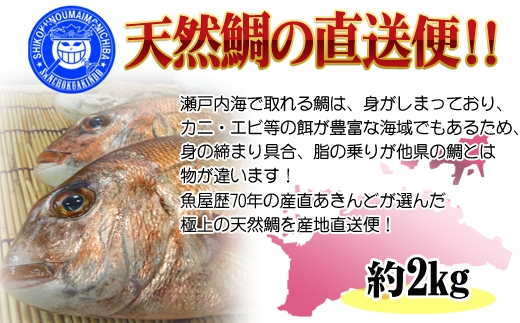 [荳句ヲ逅縺ェ縺余竕ェ轢ャ謌ク蜀豬キ逕」竕ォ譛1逡ェ豌エ謠壹£縺輔l縺溷、ゥ辟カ逵滄ッ帙r逶エ騾∬エ縺励∪縺吶ゑシサ迚ケ螟ァ繧オ繧、繧コシス