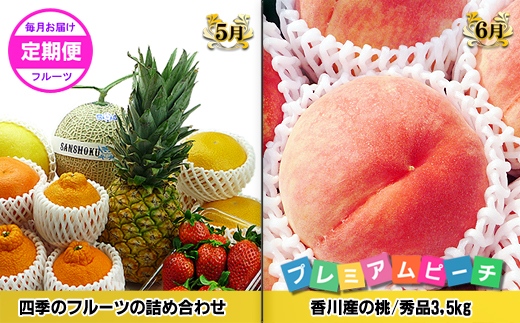 ããŽãŒã«ãã³ãŒã¹Bãç£çŽãããã©å³éžãã«ãŒãïŒé
æã®12å䟿