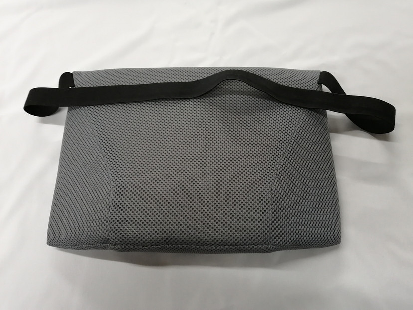 ã©ããã¯ã¹ãã¢ãã·ã¹ãè
°æ