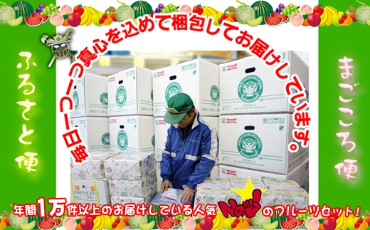 【定期便9回】 創業100年 産直あきんど四季のフルーツの定期便《9ヶ月連続でお届け》