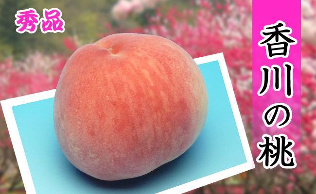 ＜滴る果汁とあふれる果肉が自慢のもも＞大玉の桃2kgセット【先行予約・2026年6月下旬より順次発送】秀品（約6～7個入り）