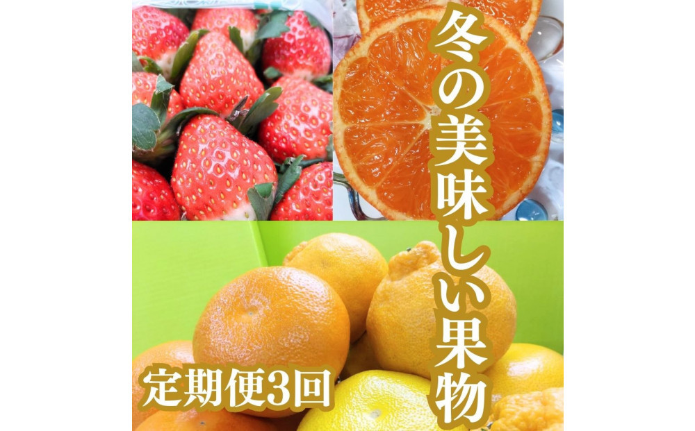 【定期便全３回】冬の美味しい果物