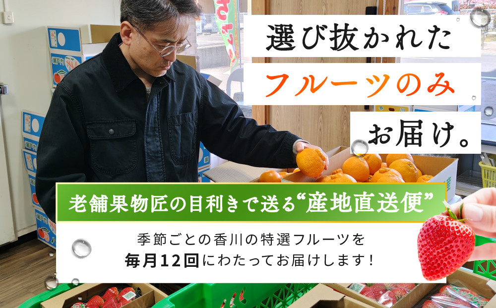 《特選プラチナコース》産直あきんど厳選フルーツ！魅惑の12回便