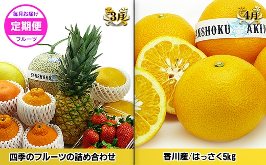 ããŽãŒã«ãã³ãŒã¹Bãç£çŽãããã©å³éžãã«ãŒãïŒé
æã®12å䟿