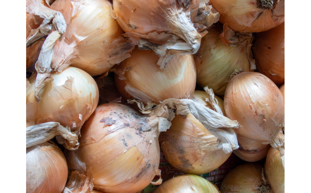 ïŒ2026幎3æäžæ¬ä»¥éçºéã»å
è¡äºçŽïŒæ¥µæ©çããŸãã çŽ10kg