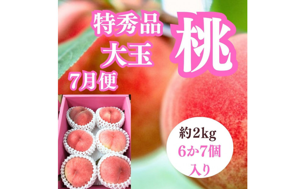 縲2026蟷エ蠎ヲ蜈郁。御コ育エ縲代仙ョ壽悄萓ソ3蝗槭大、上ョ鄒主袖縺励>譫懃黄