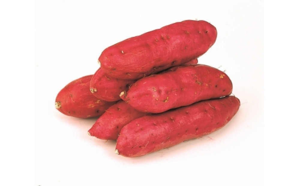 ＜2026年8月下旬以降発送・先行予約＞ホクホク系さつまいも「坂出金時いも」　約5kg