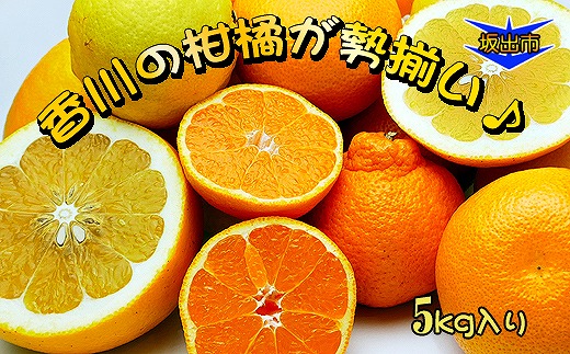 莉翫′譌ャ縺ョ譟第ゥ伜兇謠縺シ∝揩蜃コ逕」縺ョ譟第ゥ倩ゥー繧∝粋繧上○繧サ繝繝