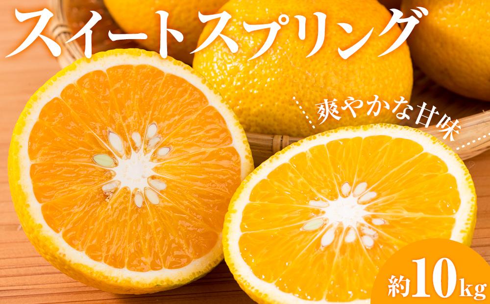 スイートスプリング 約10kg