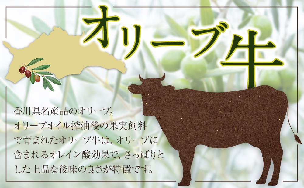 オリーブ牛　ハンバーグ3袋(100g×6枚)セット