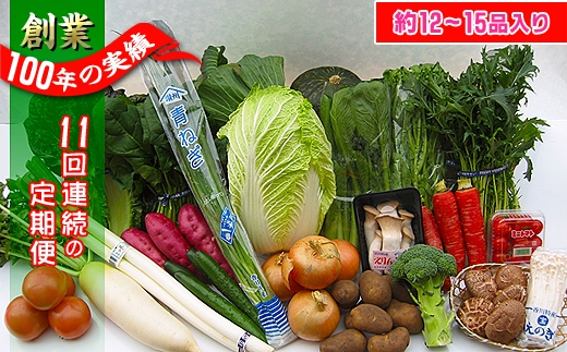 〈定期便11回〉創業100年！老舗の八百屋がチョイスした厳選やさいと旬の果物の詰め合わせ
