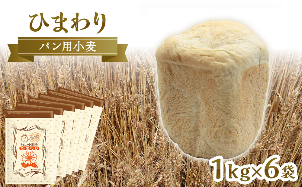 パン用小麦粉「ひまわり」1kg×6袋