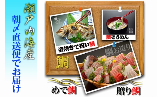 äžåŠçãªãâªç¬æžå
æµ·ç£â«æ1çªæ°Žæãããã倩ç¶çé¯ãçŽéèŽããŸããäžãµã€ãºïŒœ