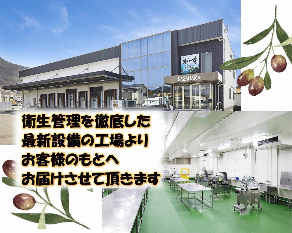 繧ェ繝ェ繝シ繝也央縲襍、霄ォ辟シ閧臥畑縲250g