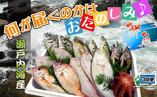 縲仙ョ壽悄萓ソ3蝗槭大卸讌ュ100蟷エ縺ョ鬲壼ア九&繧薙′驕ク縺ウ謚懊>縺滓葎縺魄ョ鬲夂峩騾∽セソス