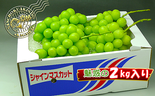 縲2026蟷エ逋コ騾√狗音遘蜩√す繝」繧、繝ウ繝槭せ繧ォ繝繝2kg縺ョ隧ー繧∝粋繧上○