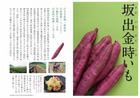 隶蟯宣朱第凾闃狗┥驟 縲悟ァォ蟆奇シ医イ繧√∩縺難シ峨37蠎ヲ
