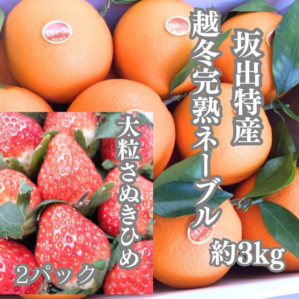 ãå®æäŸ¿ã4åã³ãŒã¹ãåå£ã®çŸå³ããæç©è©°ã