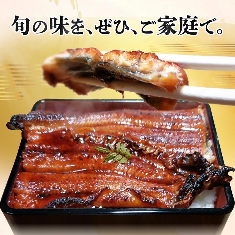 源内 うなぎの蒲焼 3尾 ( 150g × 3尾 ) 香川県産 ｜ うなぎ 蒲焼 たれ・粉山椒付き