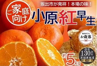 【お歳暮ギフト/熨斗対応】特秀品！小原紅早生みかん　約5kg【坂出発祥の真っ紅なお蜜柑】