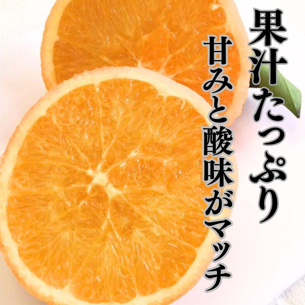 è¶å¬å®çè¢æãããŒãã« çŽ5kg ïŒ15ã21åå
¥ãïŒ