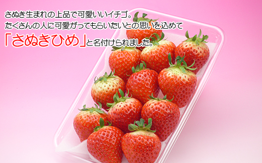 香川県オリジナル品種！さぬき姫いちご10パック