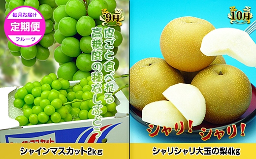 ããŽãŒã«ãã³ãŒã¹Aãç£çŽãããã©å³éžãã«ãŒãïŒé
æã®12å䟿