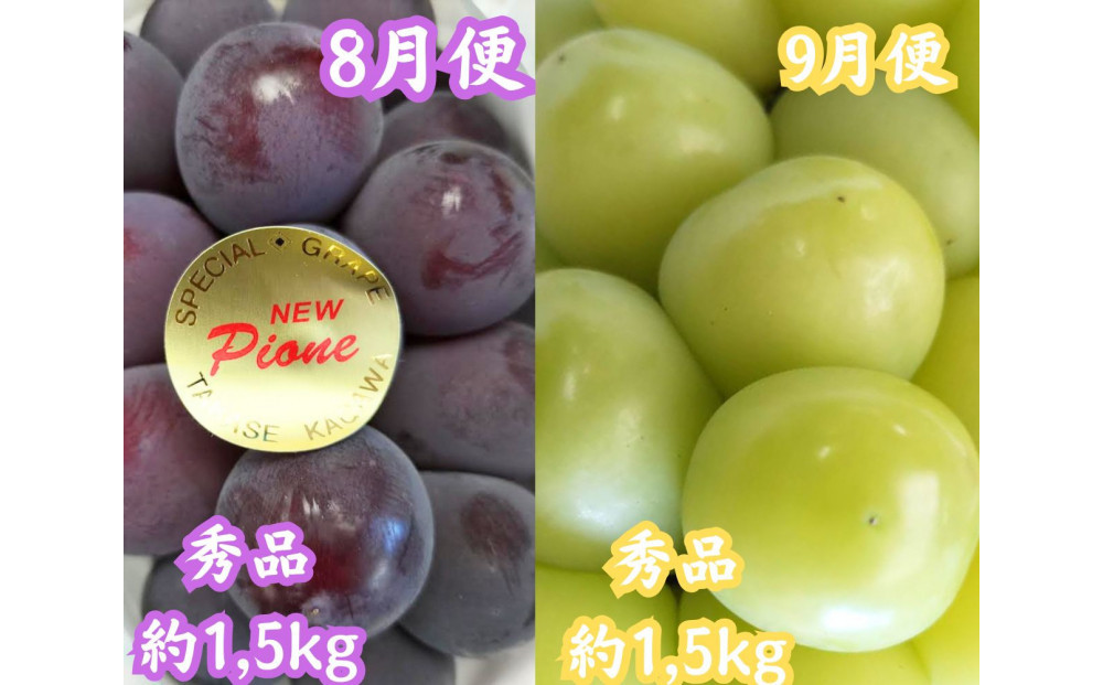 縲仙ィ6蝗槭大揩蜃コ縲蜀ャ繝サ螟上鄒主袖縺励>譫懃黄螳壽悄萓ソ