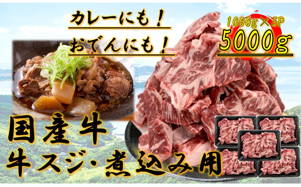 国産牛　スジ　5kg