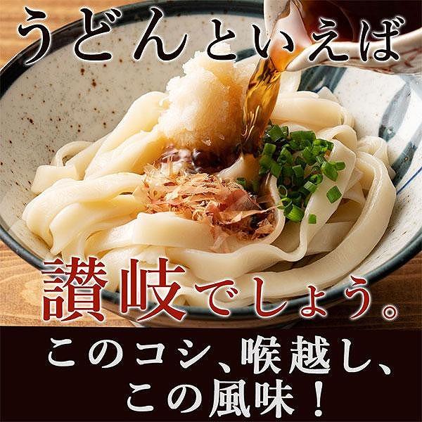 生うどん 麺のみ 9食（300g×3袋）平切麺｜うどん 生麺